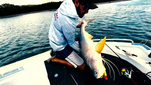 MONSTER Threadfin Salmon Fishing in Hervey Bay - Hervey Bay Fly and Sportfishing смотреть онлайн