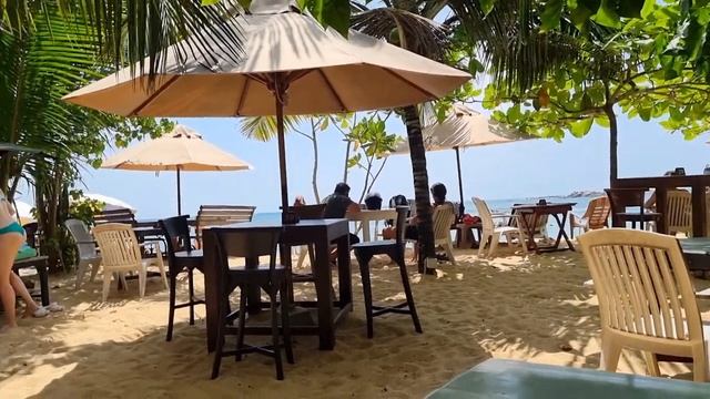 ? Шри-ланка Отель Araliya Beach ⛱️ ? Где Попить Кофе ☕️ На Пляже ? Индийский Океан ??? смотреть онлайн