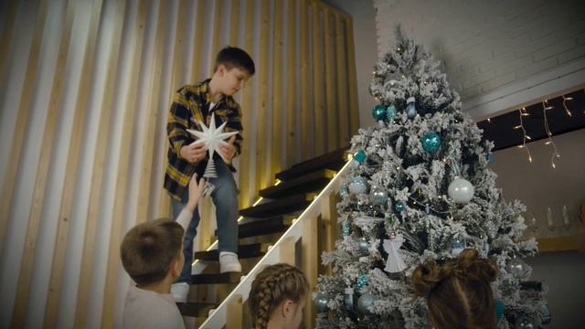 Рождественская звездочка