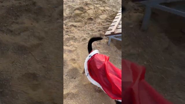 ЗдРаСьТе ЦаРь ? смотреть онлайн