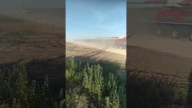 Котово Волгоградская обл. Строительство ветропарка. Доставка лопастей от ветрогенератора, смотреть онлайн