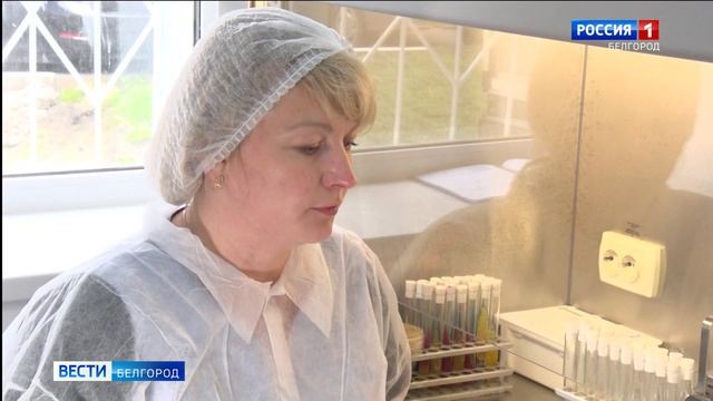 В Белгородской межобластной ветеринарной лаборатории проводят диагностику болезней пчел смотреть онлайн