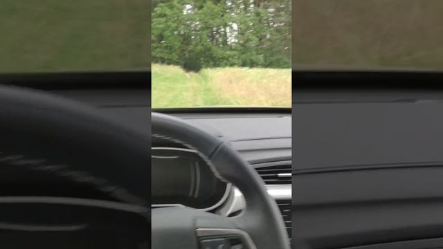 Каркасные шторки Трокот для Джили Атлас. Ещё одна плюшка!) смотреть онлайн