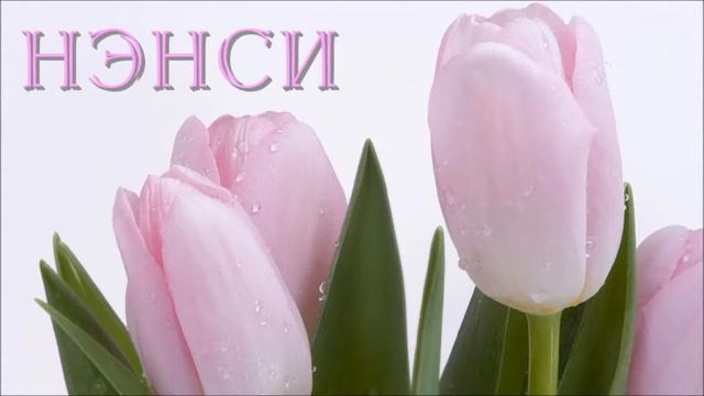 Я пред тобой на коленях..Нэнси. смотреть онлайн