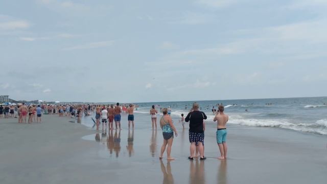 F18 Fighter Jet and C17 Cargo plane doing July 4th Flyover смотреть онлайн