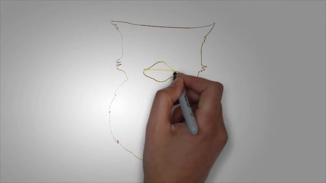Картинки птиц. КАК НАРИСОВАТЬ ПТИЦУ поэтапно смотреть онлайн