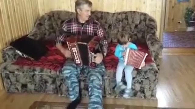 Дед с внуком играют на гармошках))) смотреть онлайн