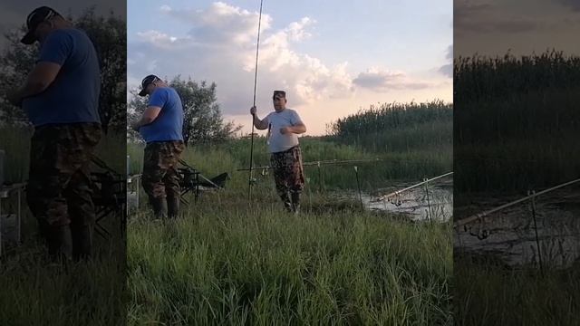 Рыбалка на Дону смотреть онлайн