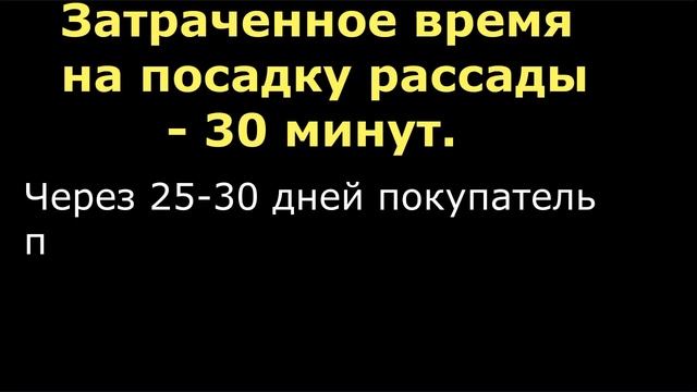 ОПЫТ продавцов рассады с ПОЛЬЗОЙ для себя смотреть онлайн