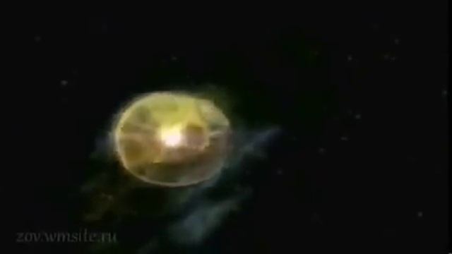 Немецкие ученые - Экспедиция под Купол Земли. Что за ним видно смотреть онлайн