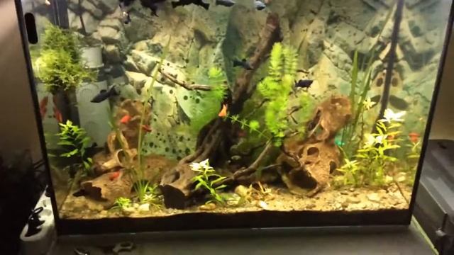 Видеоролик от клиента с обычными лампами. Часть 1 смотреть онлайн