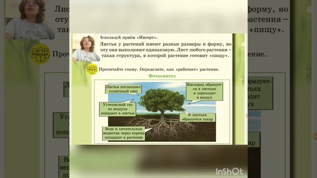Урок естествознания 3 класс, 5 урок смотреть онлайн