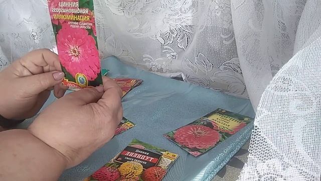 Циния.Обзор семян. смотреть онлайн