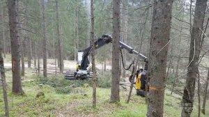 **ЛЕСОВАЛОЧНЫЕ МАШИНЫ**