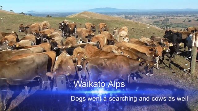 Waikato full HD смотреть онлайн