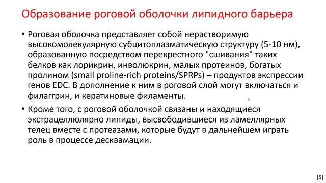 01-32 Корнификация, и при чем тут бытовая пыль смотреть онлайн