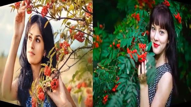 РЯБИНА - Людмила Лиманская Лебедева смотреть онлайн