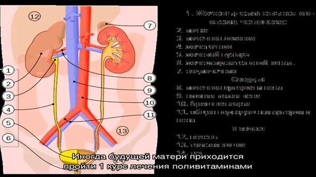 Что такое гидронефроз почек у плода смотреть онлайн