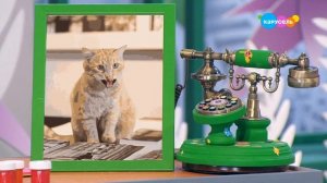 Давайте рисовать! Изображение и текст (от 17.11.2023)