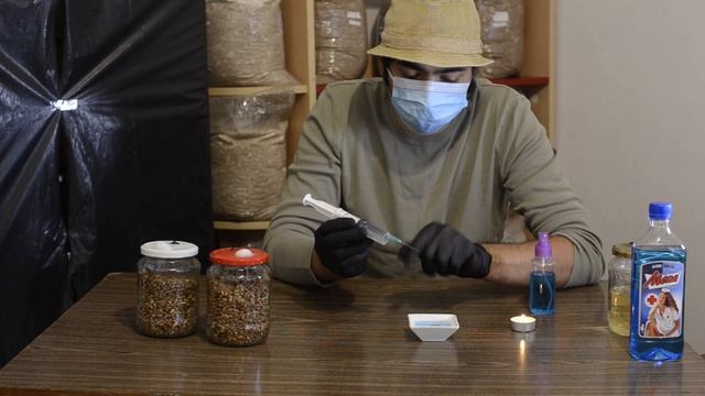 Cultivarea ciupercilor - miceliu lichid in seringa - Shroomareala ep 8 смотреть онлайн