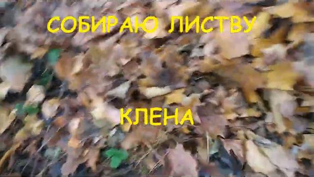 ДАЧА#ЗАКРЫТИЕ СЕЗОНА14.11.2021г. смотреть онлайн