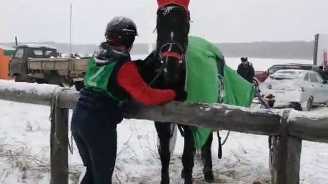 Скачки Новая Солянка смотреть онлайн