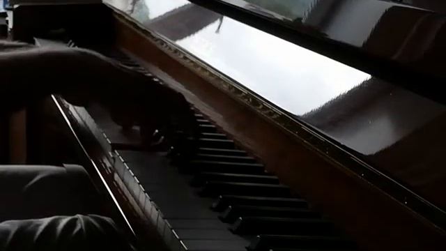 J.Metallidi. Night in Toledo смотреть онлайн