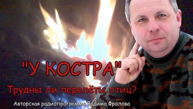 Трудны ли перелёты птиц смотреть онлайн