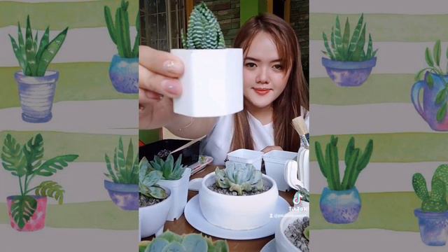 Zebra Haworthia and Owl's Claw Plant || Planteacher 😁 смотреть онлайн