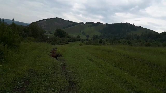 Природа в Сибирячихе Алтайский край смотреть онлайн