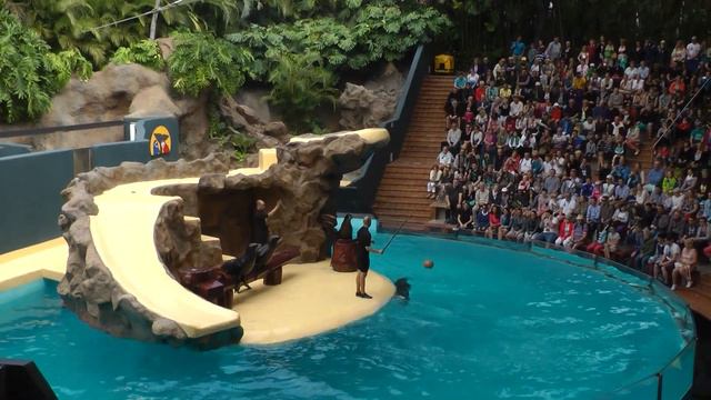 На канарских островах смотреть онлайн