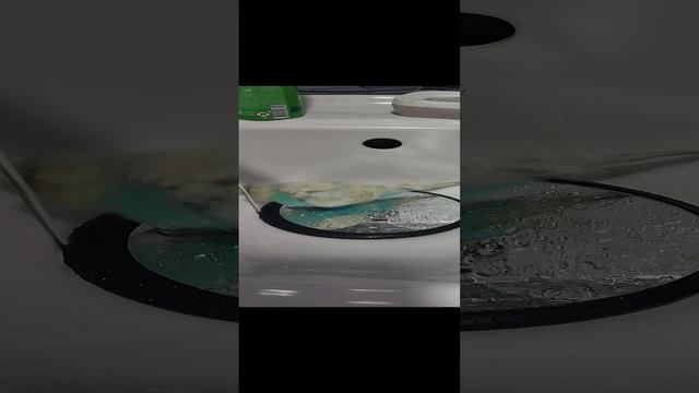 Большие радости маленького попугая