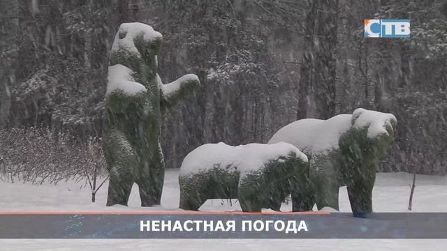 18.12.2023 Новая рабочая неделя начнется в Ленобласти с тумана, мокрого снега и ветра.