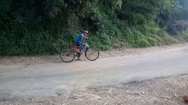Fanchi don смотреть онлайн