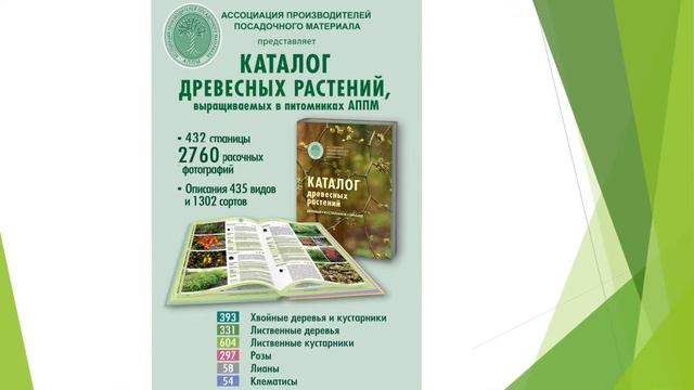 Каталог древесных растений, выращиваемых в питомниках АППМ ( 2017). смотреть онлайн