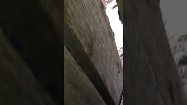 Приехал к родителям ??? смотреть онлайн