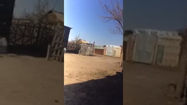 ниссан цефиро а 32 после полировок 1996 года смотреть онлайн