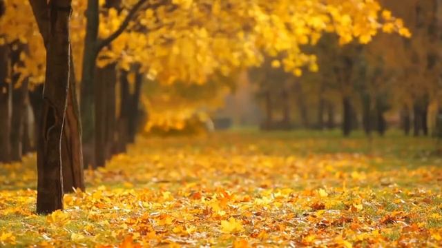 Саксофон инструментальные песни о любви * Сборник Красивых Мелодий * Красивая музыка смотреть онлайн