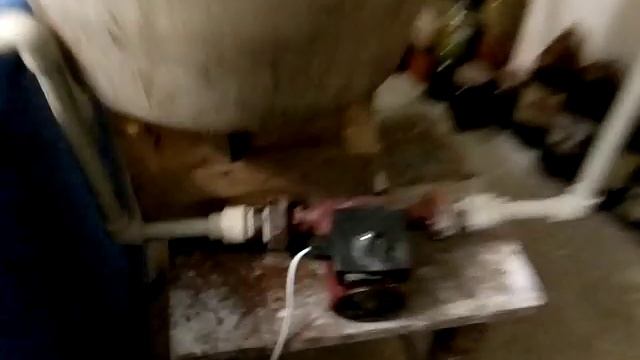 Выращивание осетра в домашних условиях. смотреть онлайн