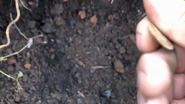 Шурф! выход 20 с эквинокс 800 смотреть онлайн