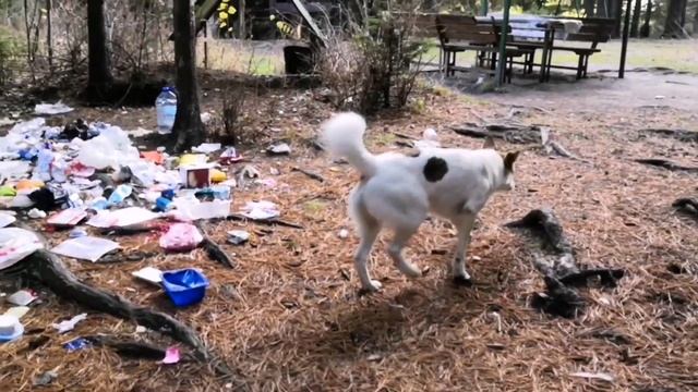 Медицинские маски смотреть онлайн