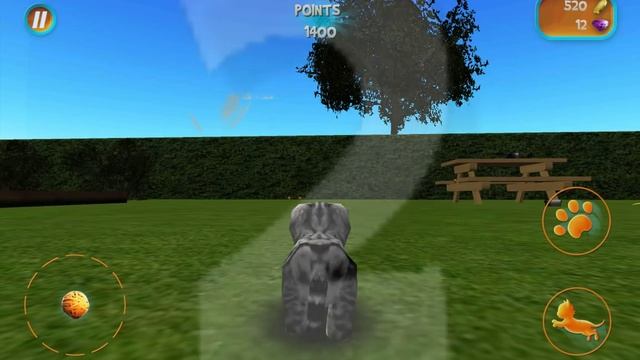 Cat simulator 2015 (Симулятор кота 2015) смотреть онлайн