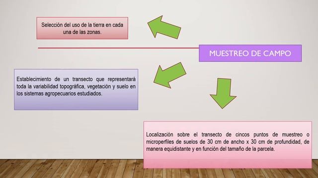 INDICADORES MORFOLÓGICOS Y ESTRUCTURALES DE CALIDAD Y POTENCIAL DE EROSIÓN DEL SUELO смотреть онлайн