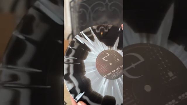 Amy Lee Unboxing Fallen 20th Anniversary Of Evanescence (Instagram Reels 02.22.2024) смотреть онлайн