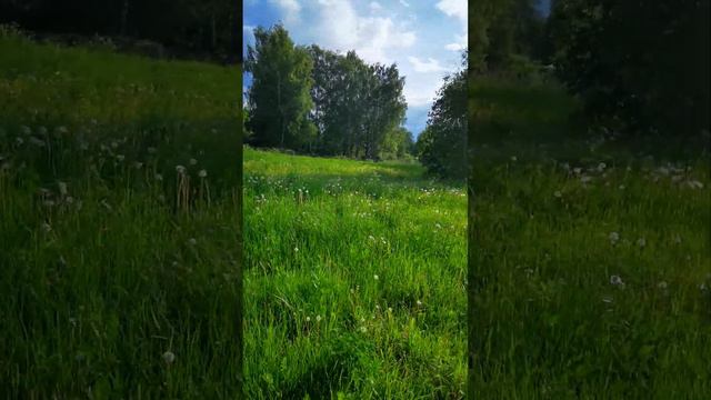 д. Бестужево 10 соток ✅ смотреть онлайн