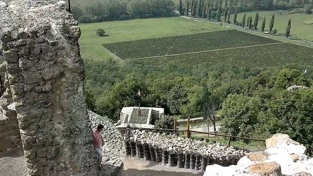 Волны Сознания