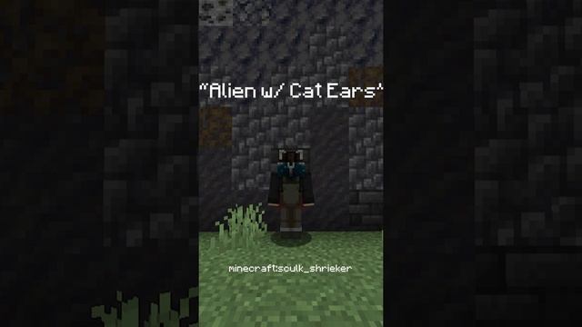 All Minecraft Head Easter Eggs (1.19) #shorts смотреть онлайн