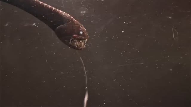 Ужасные монстры морских глубин! смотреть онлайн