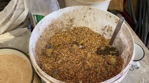 Чем кормить кур. Только натуральные составляющие рациона кур.