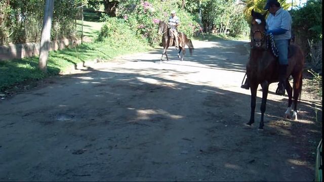 La Gacela De RS смотреть онлайн